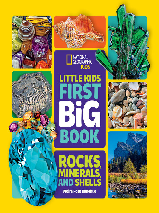 Title details for National Geographic Little Kids First Big Book of Rocks, Minerals & Shells by Moira Rose Donohue - Available